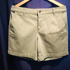 VANDERBILT | Short | 8 | Fern